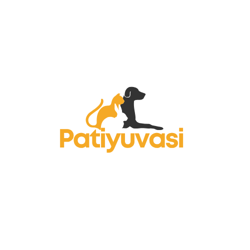 PatiYuvası  Sevimli ve Konforlu Kedi Yatakları – Kedinizin Yeni Yuvası