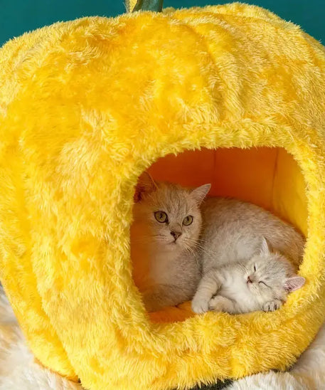 PatiYuvasi™ – Ananas Şeklinde Kedi Evi 🍍 patiyuvasi