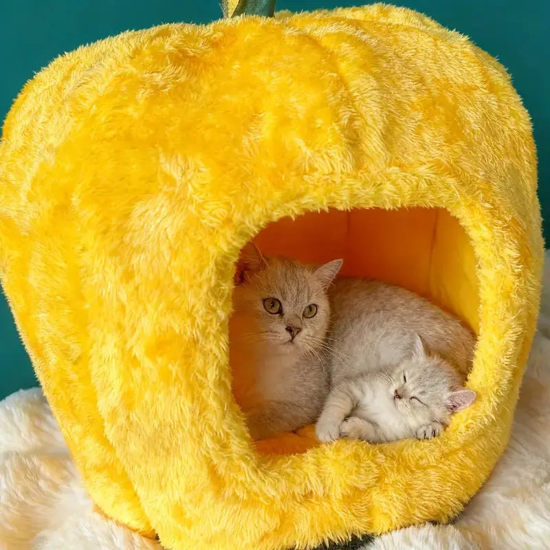 PatiYuvasi™ – Ananas Şeklinde Kedi Evi 🍍 patiyuvasi