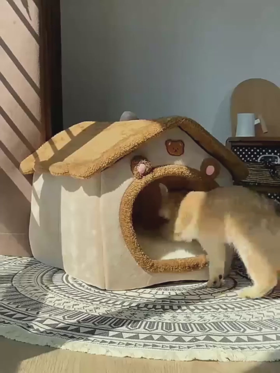 PatiHome™ – 4 Mevsim Kedi & Köpek Evi