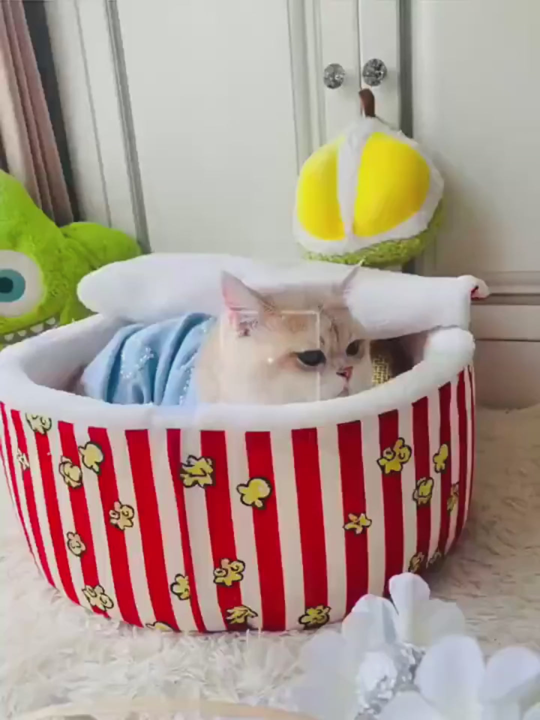 PatiYuvasi™ – Popcorn Kedi Evi 🍿🐾